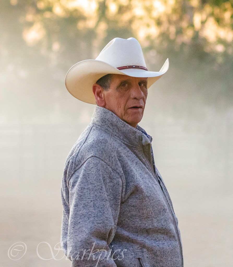 drm-1starkpics-com2016